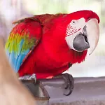 Park Club Europe Готель
