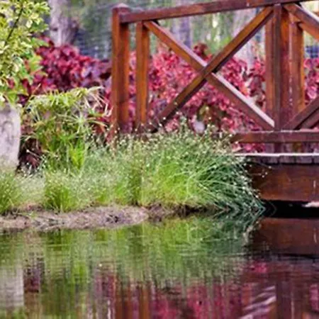 Park Club Europe - 3* Плая-де-лас-Америкас